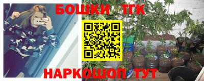 мдпв Жуковский