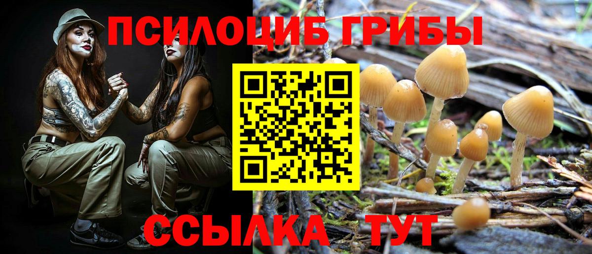Назрань  Галлюциногенные грибы Magic Shrooms  Вход с VPN 