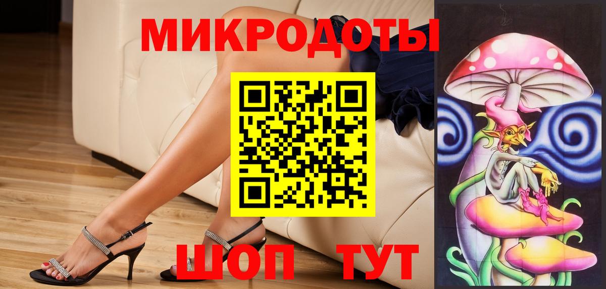 Псилоцибиновые грибы Psilocybe Назрань